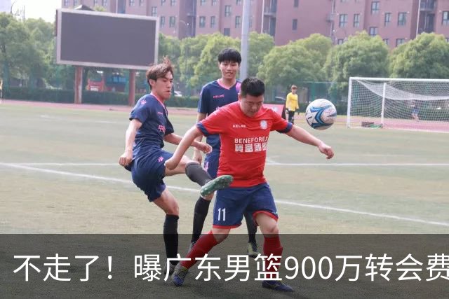 不走了！曝广东男篮900万转会费签下昔日状元内线，杜锋拒绝摆烂